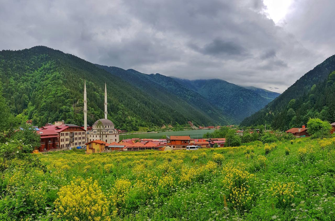 Ilhan Kardesler Apart Hotel Uzungol Exterior photo